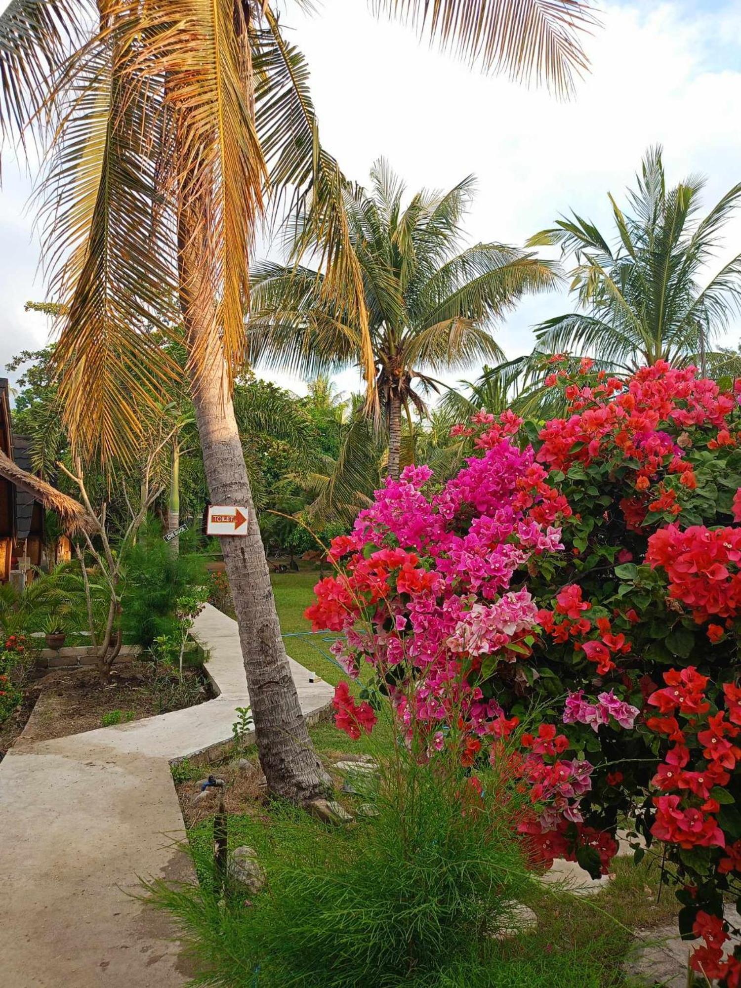 Bintang Tiga Bungalows غيلي آير المظهر الخارجي الصورة